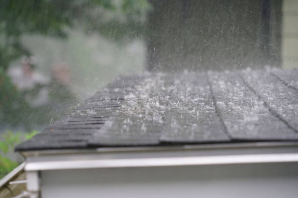Best Storm Damage Roof Repair  in Discovery Bay, CA